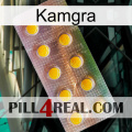 Kamgra new11